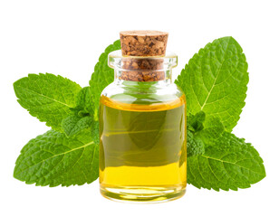 Clear Liquid Oil in Flask with Fresh Peppermint Leaves, Isolated on Transparent Background