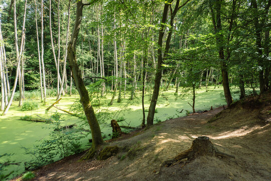 Idyllic Briese valley with its enchanting forests and views of the river Briese &ndash; hiking around Birkenwerder