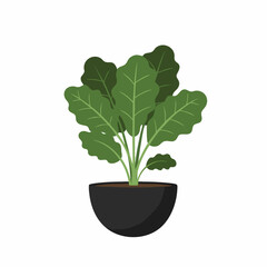 Stylized Potted Plant with Large Green Leaves in a Dark Round Pot