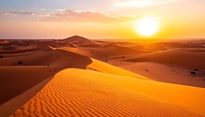 Golden sunset over vast desert dunes.