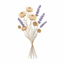 Stylized bouquet of strawflowers and lavender with delicate stems and muted colors