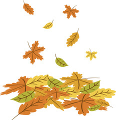 Pile of falling autumn leaves