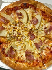 A delicious pizza with a golden crust, melted cheese, and savory toppings. Perfect for food-related designs, menus, or Italian-themed projects, capturing the essence of a classic comfort dish.