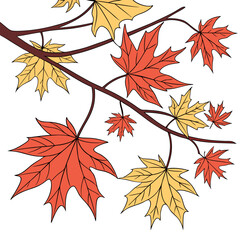 Fototapeta premium Stylized illustration of red and yellow maple leaves on brown branches against a white background