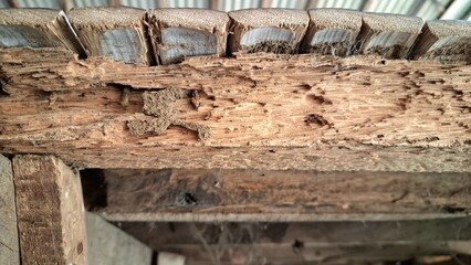 Close-up View of Severe Termite Damage and Decay on Old Wooden Beam, Highlighting Insect Infestation and Eroded Wood Texture