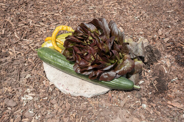 Frisch geerntetes gem&uuml;se vom Garten