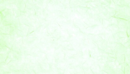 Obraz premium Pale green textured background