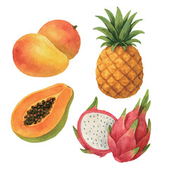 Vibrant Tropical Fruits Illustration
