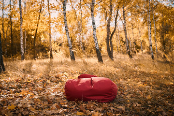 Photo of a red soft chair against the background of an autumn park during sunset