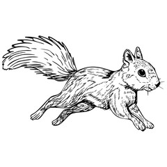 A sketch of a running squirrel with a bushy tail. The animal is depicted in motion, showcasing its agile body and expressive features.