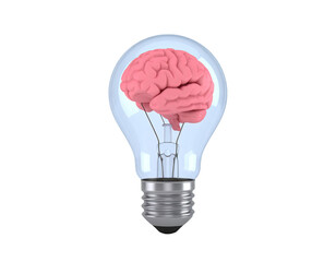 Creative Light Bulb with Human Brain Inside Symbolizing Innovation Isolated on White Background