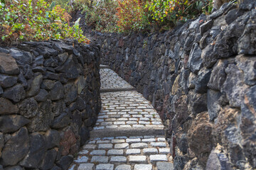 Caldera de Bandama Gran Canaria Spain - nature reserve after volcanic eruption