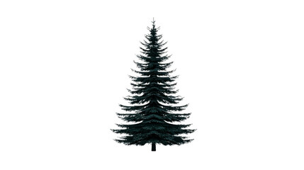 Fototapeta premium Tall evergreen tree with dense branches and conical shape, symbolizing nature beauty and tranquility. This tree can be used for various design purposes, including holiday themes