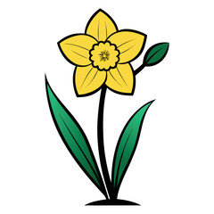 Vector art of yellow daffodil flower with bud isolated on white background
