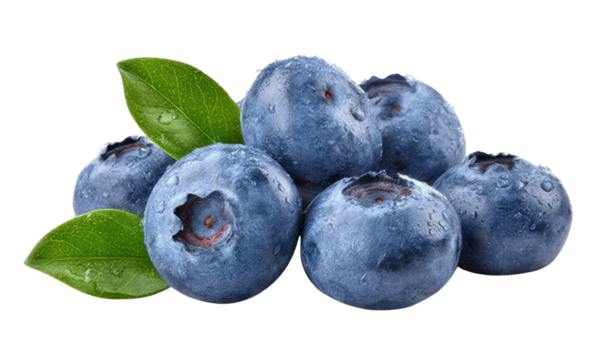 fresh blueberries with leaves on transparent background.