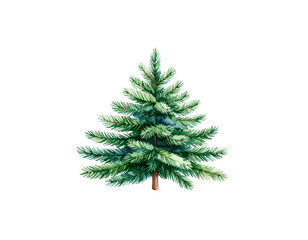 Fototapeta premium Single Christmas tree with green branches and decorations on white background