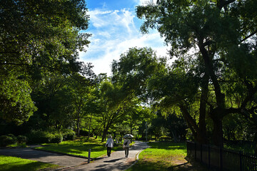 夏の朝、日傘をさして公園を散歩している風景