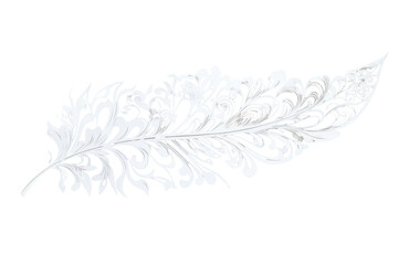 Ornate white feather with swirling patterns isolated on transparent background. White feather with intricate design isolated on a white background.