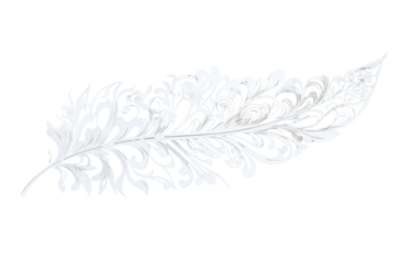 Ornate white feather with swirling patterns isolated on transparent background. White feather with intricate design isolated on a white background.