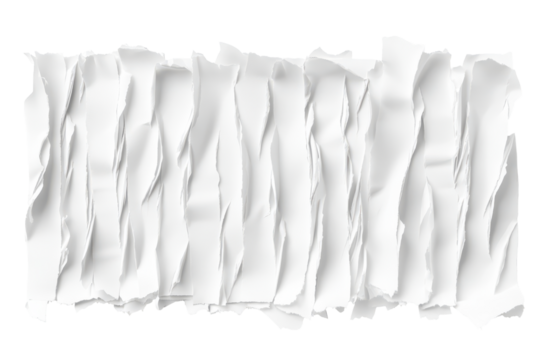 Torn paper scraps and a crumpled rose isolated on transparent background. White ripped paper torn edges strips isolated on white background. - Powered by Adobe