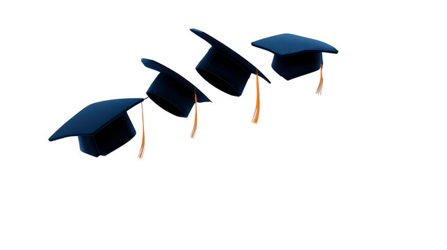 Graduation caps arranged in row symbolize achievement and success in education. These caps represent culmination of hard work and dedication, celebrating academic milestones