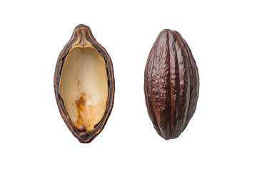 Open cacao pod filled with raw beans isolated on transparent background. Whole and half cocoa pod with raw beans isolated on white background.