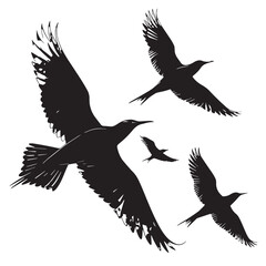 Obraz premium black Birds Flying Silhouette Vector, High Quality Illustration on White Background