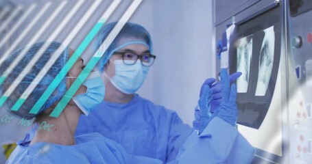 Medical team tapping panel and navigating animated charts over backlit X-ray viewer for diagnosis - Powered by Adobe