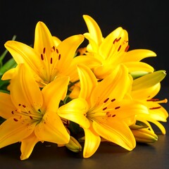 Vibrant yellow lilies on a dark background