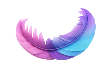 Two colorful feathers forming a crescent shape isolated on transparent background. Blue and purple feather isolated on white background, 3d rendering.