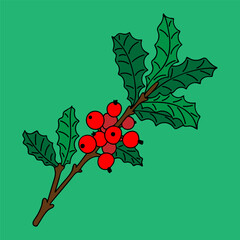 Green branch holly with red berries. Hand drawn color flat vector. Merry Christmas greeting card. Plant nature. Tradition holiday. Fun celebration. Illustration doodle line art.