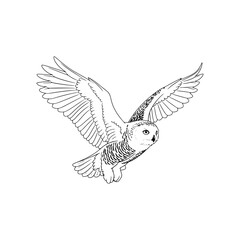 Obraz premium Artistic depiction of a flying owl: Its large wingspan and keen eyesight create a dynamic beauty in this image.