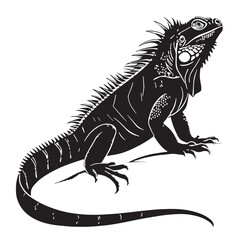 black anegadarockiguana Silhouette Vector, High Quality Illustration on White Background