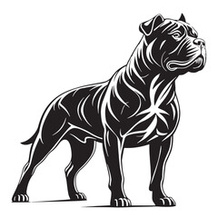 black american bulldog Silhouette Vector, High Quality Illustration on White Background