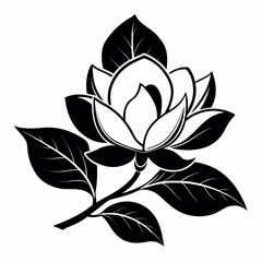 Obraz premium Vector art of magnolia flower silhouette isolated on white background