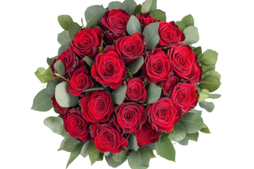 Beautiful bouquet of red roses and eucalyptus leaves isolated on transparent background. Bouquet of red roses heart shape top view isolated on white background.