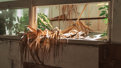 Abandoned building interior with graffiti,Taiwan