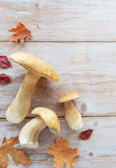 Fresh mushrooms lying on wooden table with autumn leaves
