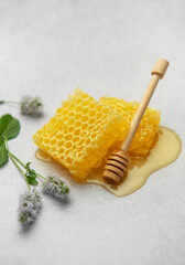 Honeycombs, honey dipper and mint flowers creating a sweet and natural scene