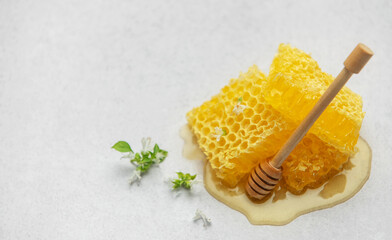 Honeycombs with wooden honey dipper and small white flowers on light background