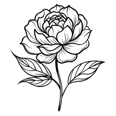 Vector art of flower illustration isolated on white background