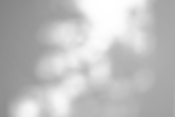 Abstract natural tree branch leaves shadow on white wall background