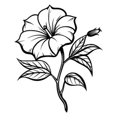 Vector art of flower outline drawing isolated on white background