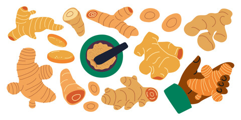 Ginger set in cartoon retro groovy style. Healthy fresh plants herbs for tea, baking. Bright ginger sliced, root, powder. Vector flat food set for cooking, food, and culinary. Spices doodle stickers