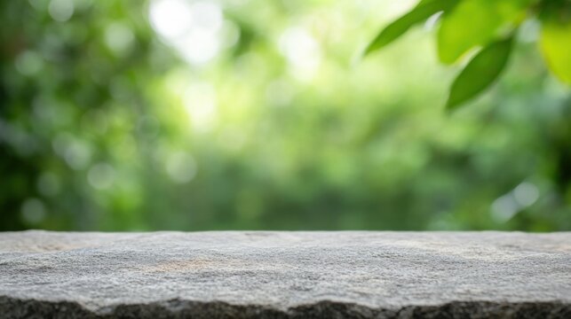 rock floor on the front green blured leaves on background 