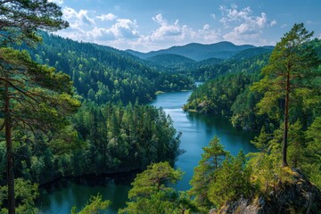 Fototapeta premium Stunning landscape view of a pine forest surrounding a tranquil lake, capturing nature's beauty in a serene mountain setting during daylight hours