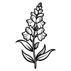 Vector art of black and white snapdragon flower illustration isolated on white background