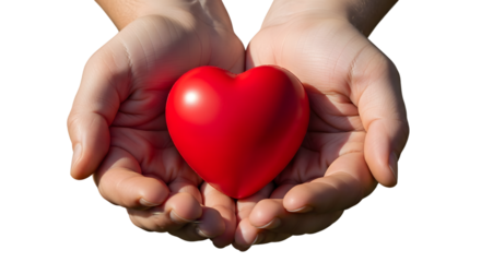 A red heart shape held gently in cupped hands, symbolizing love and care, isolated on transparent background