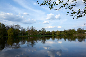 A calm lake with a few trees in the background
