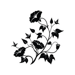 Elegant black silhouette of morning glory flowers and leaves on a white background